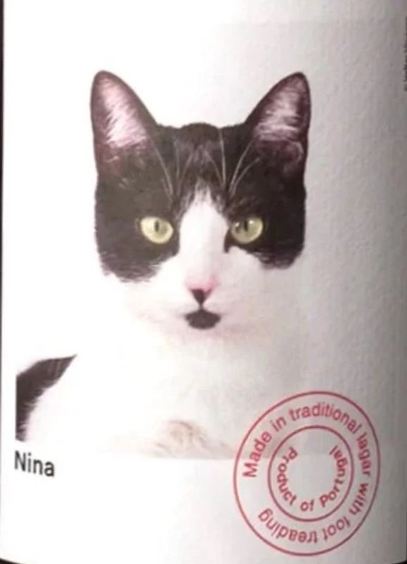 Planet Mouraz 2023 'Nina' Palhete