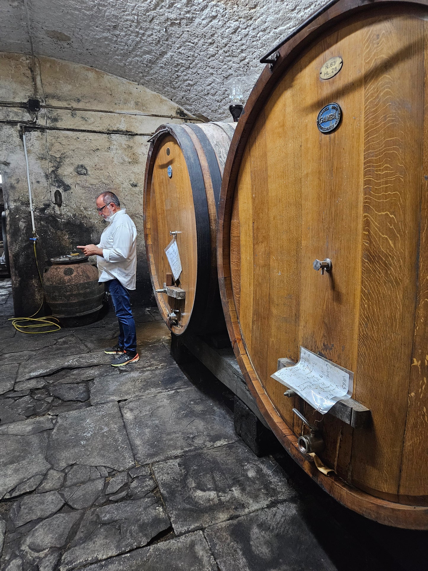 Selvapiana 2023 Chianti Rufina