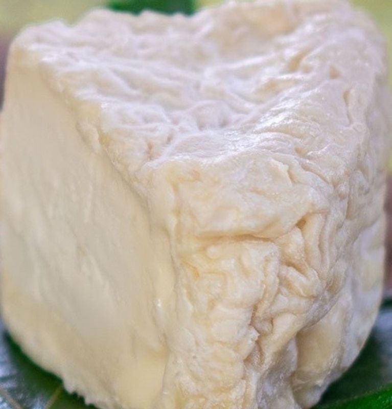 Barlotti Robola Bufula