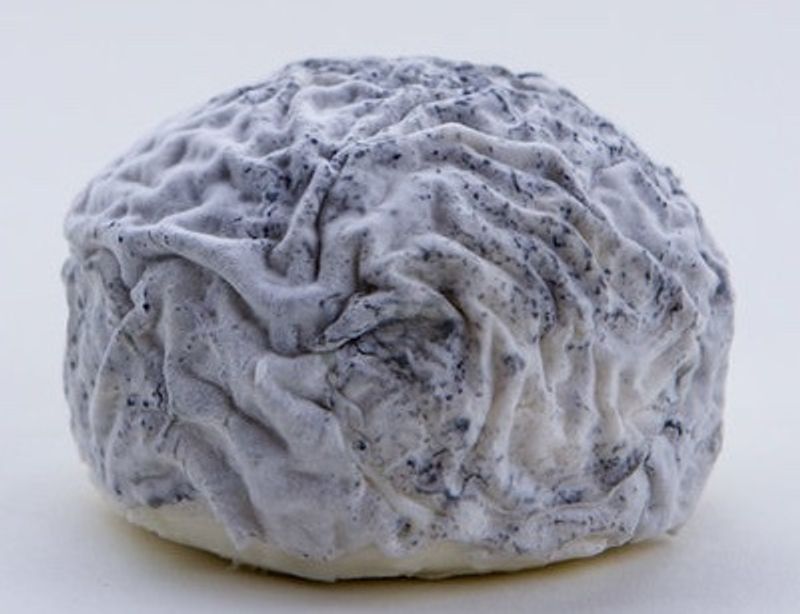 Capriole Wabash Cannonball