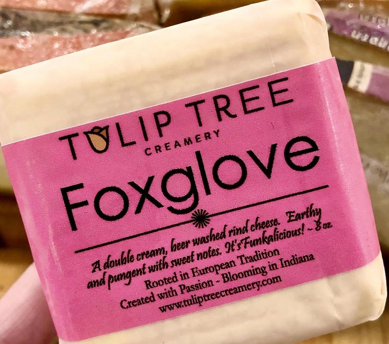 Tulip Tree Foxglove