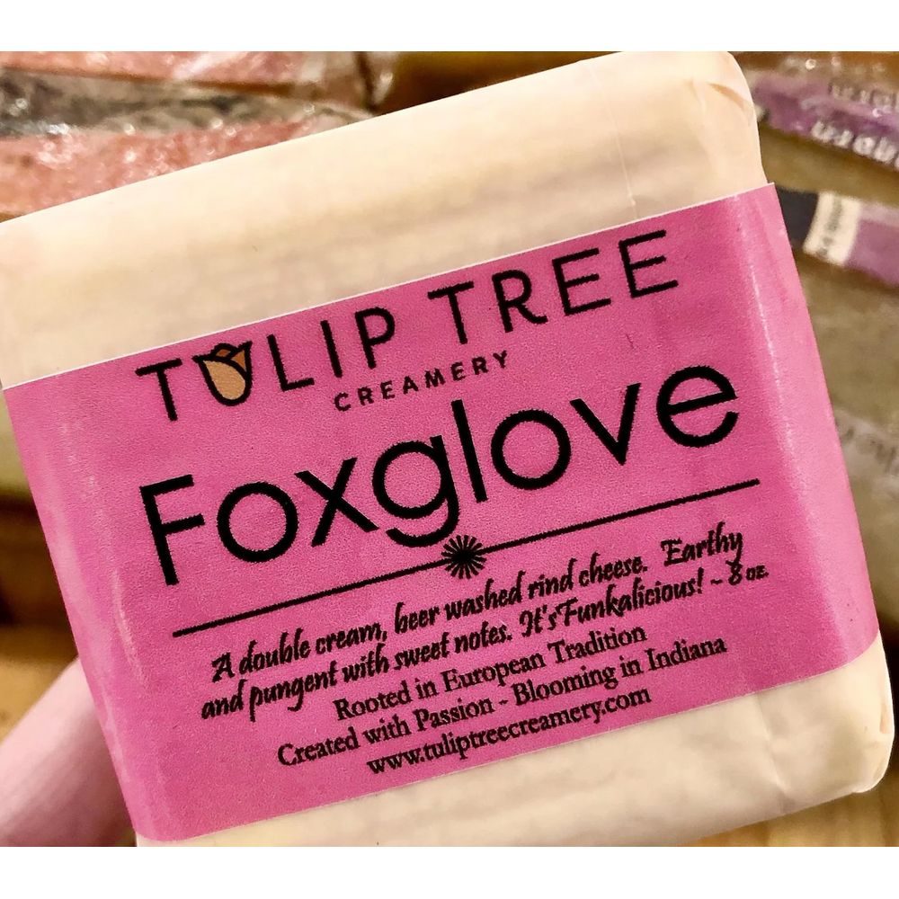Tulip Tree Foxglove