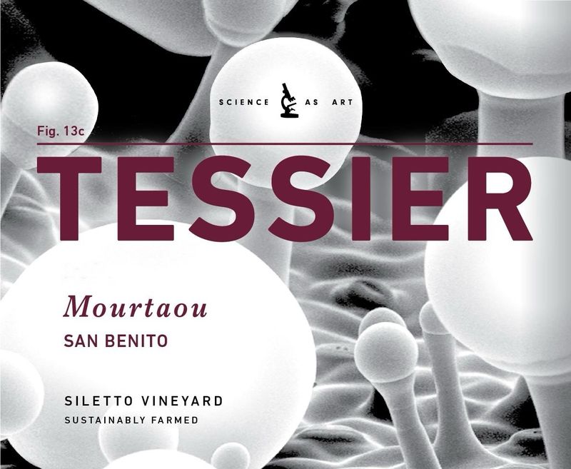 Tessier Sauvignon Blanc, Mourtaou, Siletto Vyd