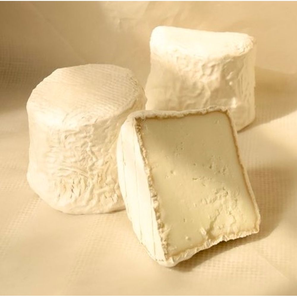 Andante Dairy Crottin