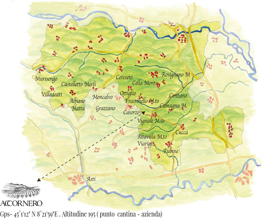 Accornero 2021 Giulin Barbera Del Monferrato DOC