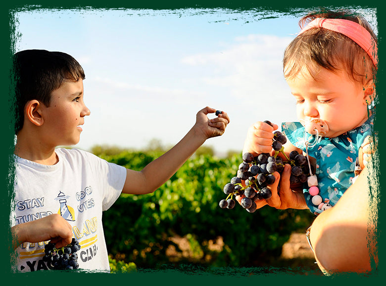 Vinos Lopez La Bodegaza 2021 Garnacha en Secano