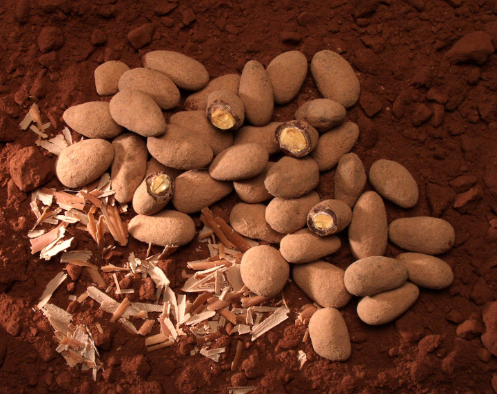 Piedras de Chocolate - Mitica chocolate-covered almonds