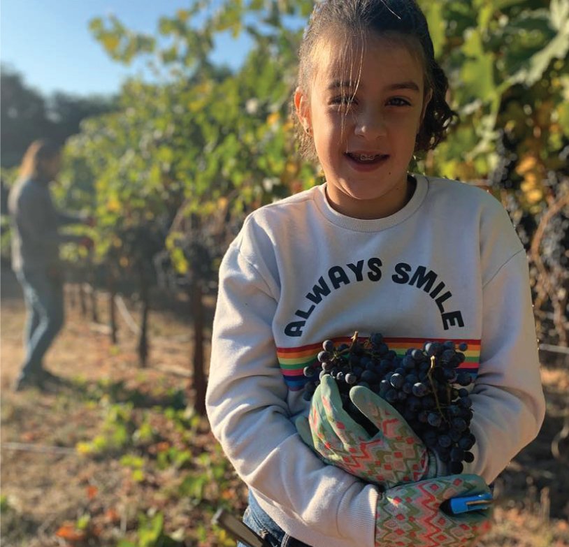 Reeve 2025 'Remy Saves the Sea' Rose of Carignan