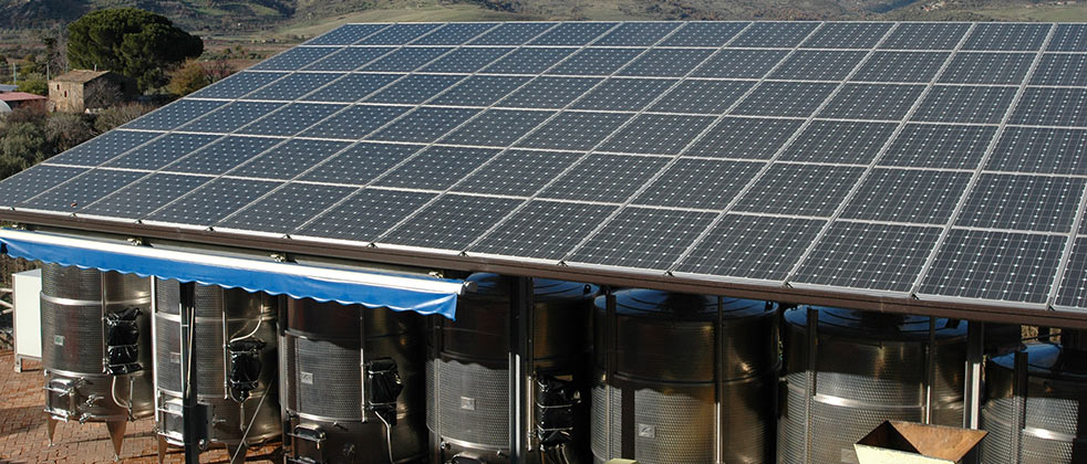 Terre Nere 2023 Etna Rosso