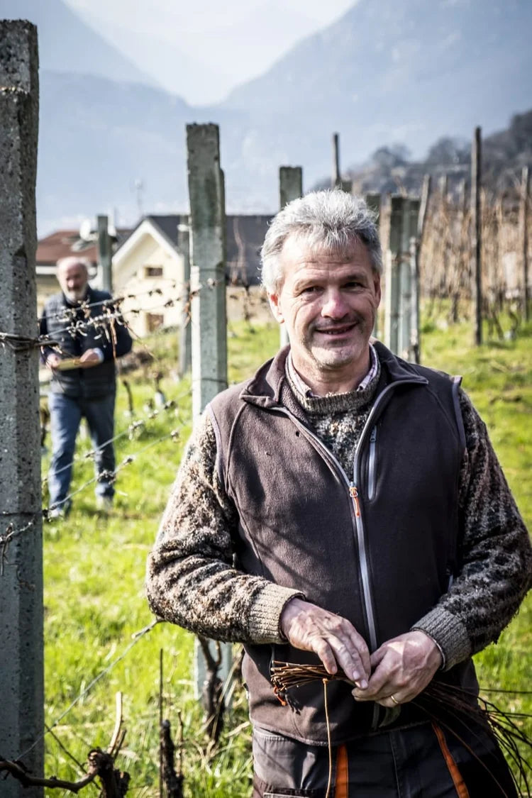 Cantina Togliana Carema Riserva 2020