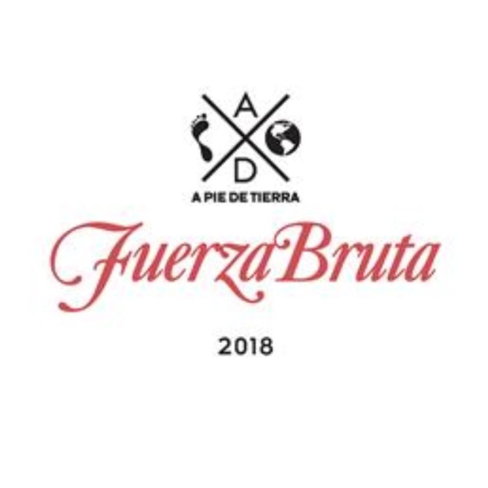 A Pie de Tierra 2018 Fuerza Bruta