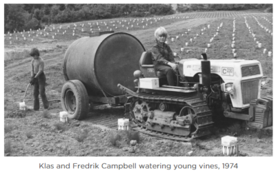 Watering the vines by hand, 1974