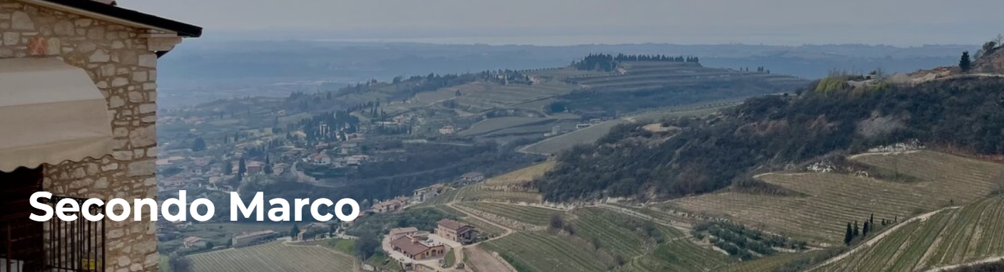 Secondo Marco panorama of vineyards