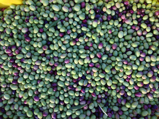 A pile of green and purple olives filling the frame