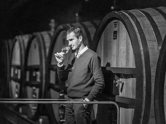 Man standing in a wine cellar smelling a glass of wine beside wooden barrels