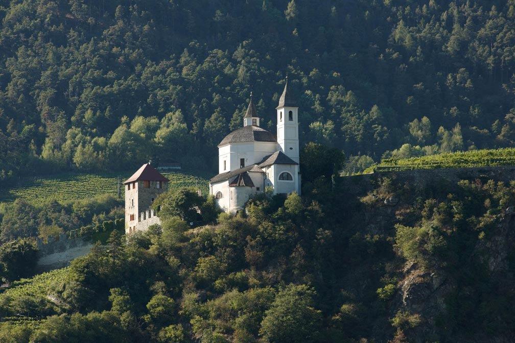 Weekly Wine Tasting: Italian Wines with Vinity Wine Company