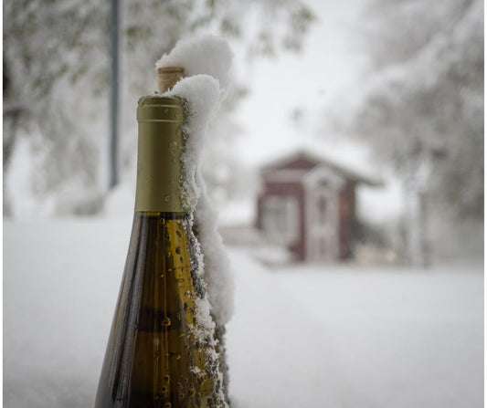 Wine bottle capped with snow outdoors in winter
