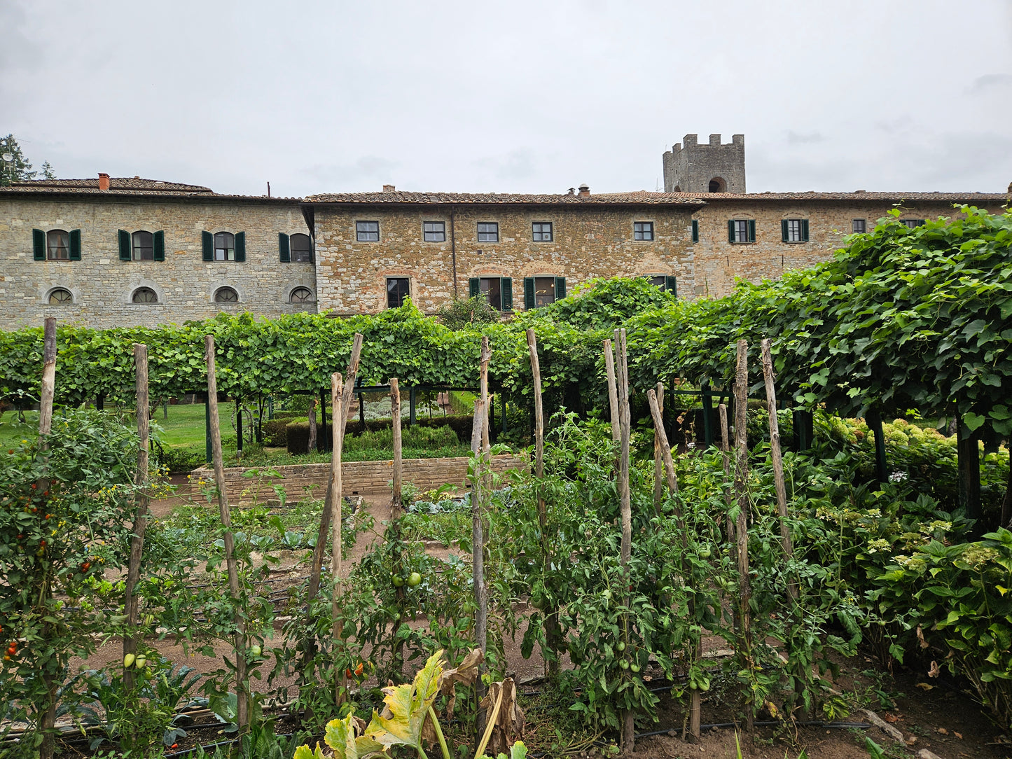Badia a Coltibuono 2022 "Cetamura" Chianti DOCG