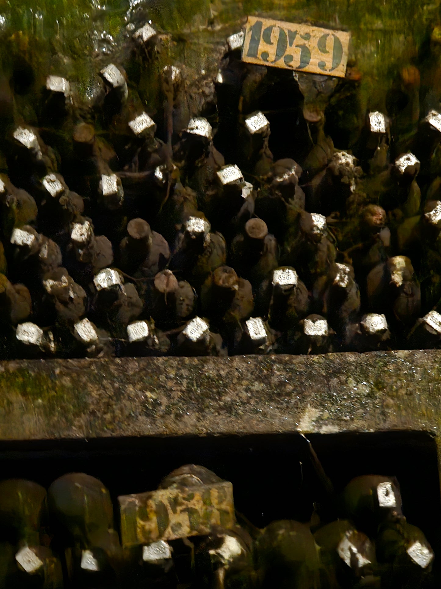 Badia a Coltibuono 2022 "Cetamura" Chianti DOCG