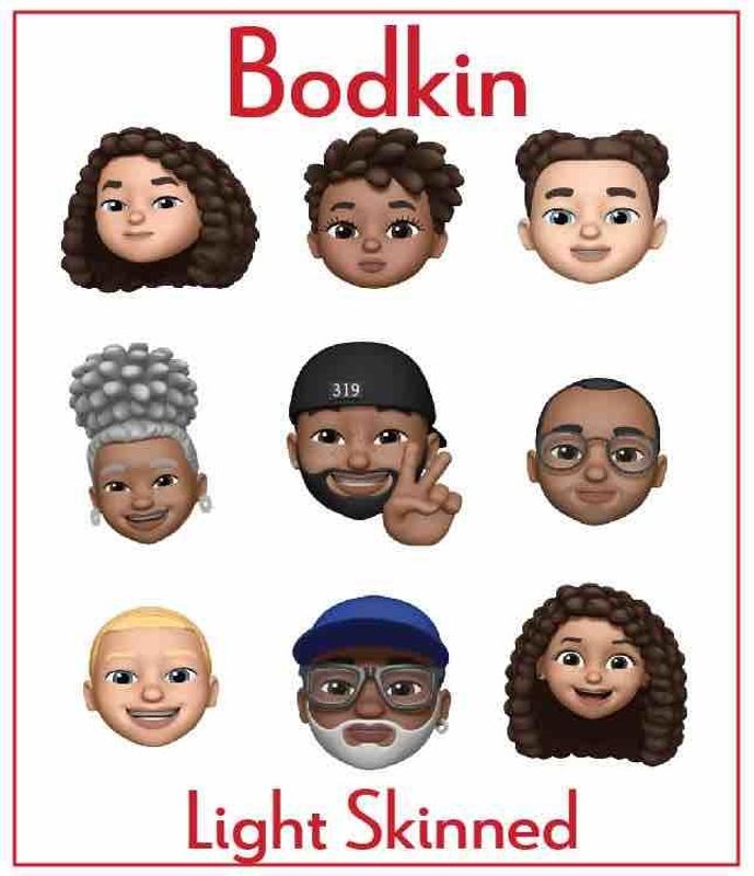 Bodkin Light Skinned Zinfandel, Mendocino County 2022