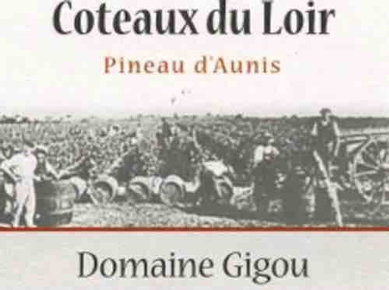 Domaine Gigou Coteaux du Loire Pineau d'Aunis 2023