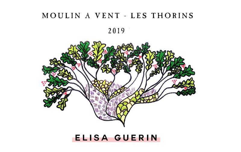 Famille Guerin 2020 Les Thorins Moulin a Vent