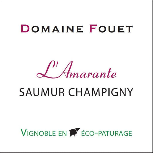 Dom Fouet 2021 Buvons des Fruits Cab Franc (Natural)