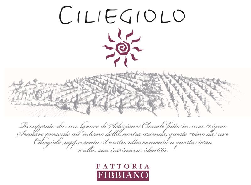 Fibbiano Ciliegiolo