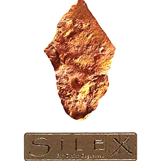 Louis-Benjamin - Didier Dagueneau 2015 'Silex' Blanc-Fume de Pouilly