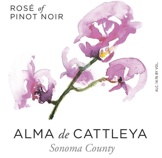 Alma de Cattleya Rose of Pinot Noir