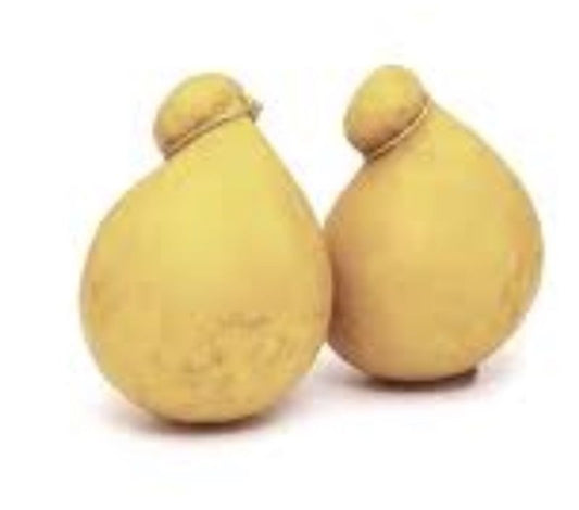 Uploaded via GraphQL script