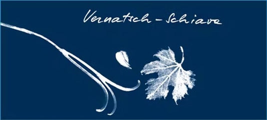 Uploaded via GraphQL script