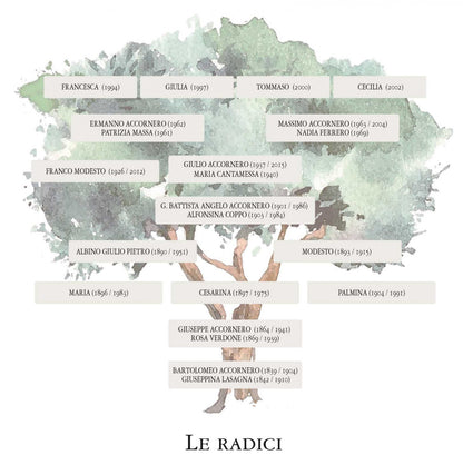 Accornero 2021 Giulin Barbera Del Monferrato DOC