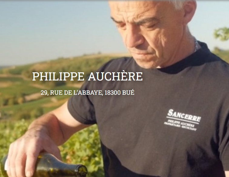 Dom Philippe Auchere 2024 Sancerre