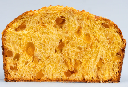 Olivieri 1882 Apricot & Salted Caramel Panettone with Tin (1Kg, serves 8 - 10)