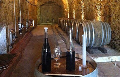 Clos Roussely Temps Danse Rosé 2023