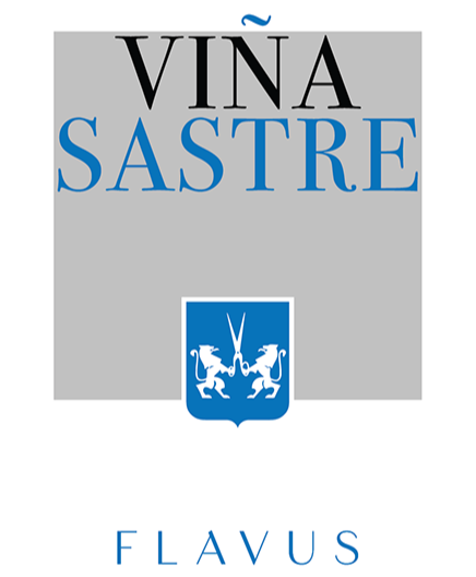 Vina Sastre Flavus (Spanish white wine)