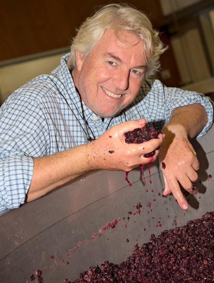 Serene founder Laurent squeezing a bunch of grapes as he leans over the crush pad full of grapes.