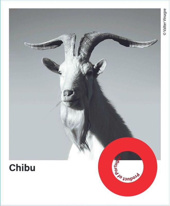 Planet Mouraz Chibu chillable red
