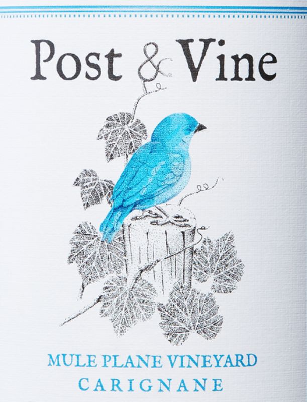Post & Vine 2020 Mule Plane Carignane