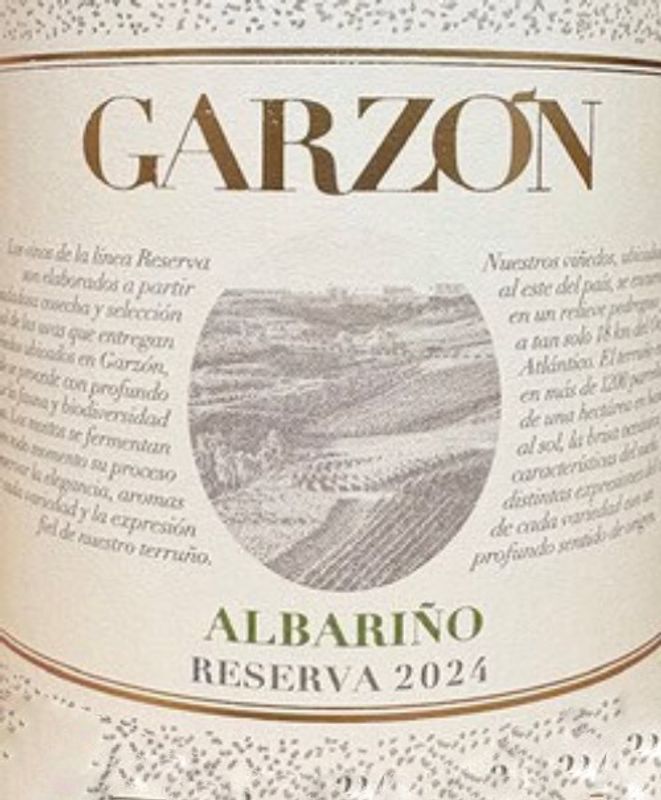 Bodega Garzon 2024 Albarino Reserva, Uruguay