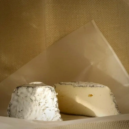 Andante Dairy Nocturne